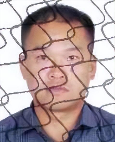 廣西最新公告中的暖心日常