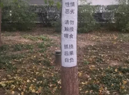 北大香波最新科技，智能重塑生活，體驗未來魅力